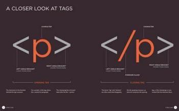 wordpress标签说明,wp:term-description